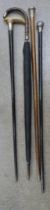 Two topped walking canes, a horn handle cane with silver collar and an umbrella
