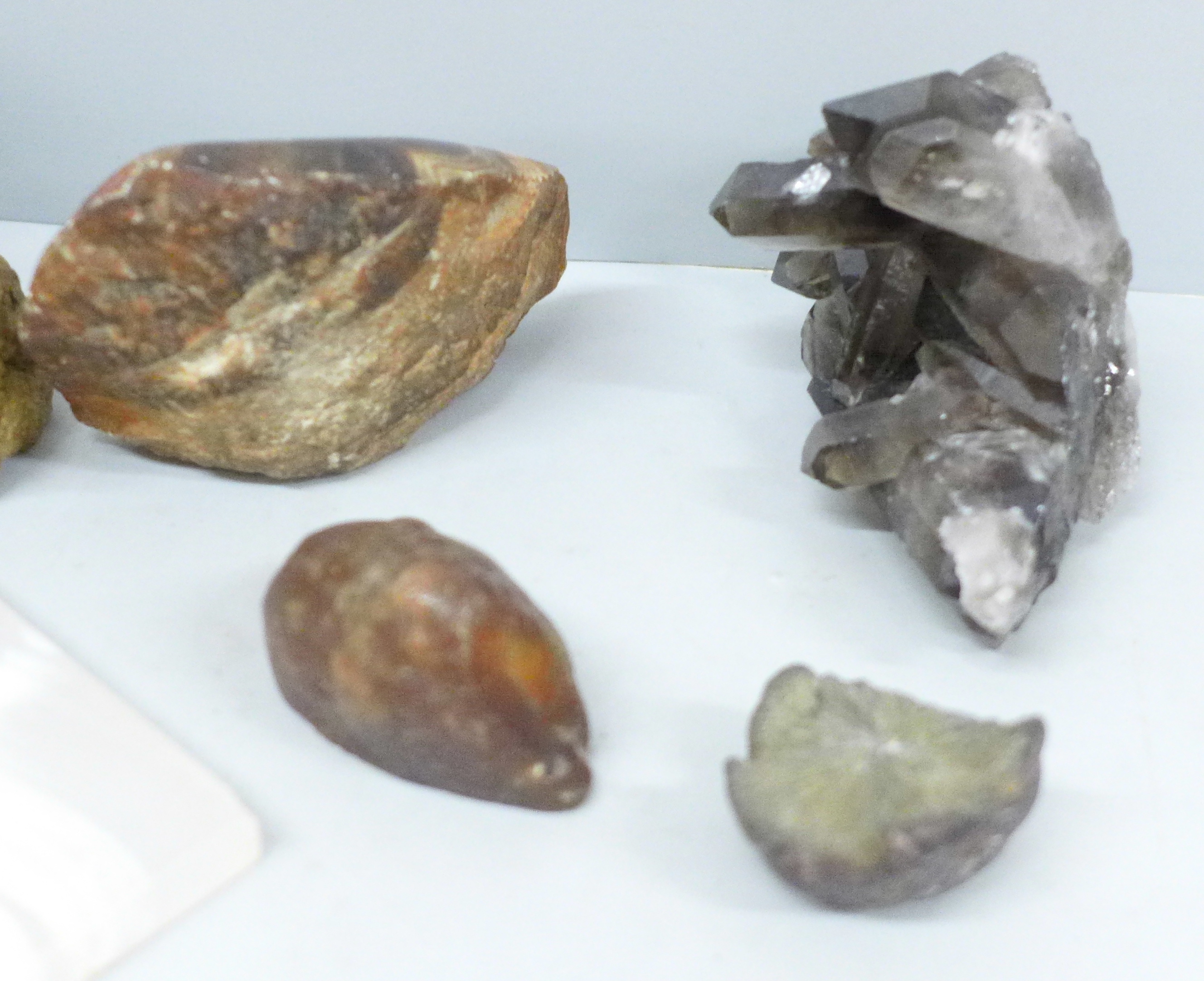 A collection of mineral samples, smoky quartz fossil, agate, etc., seven in total - Image 2 of 4