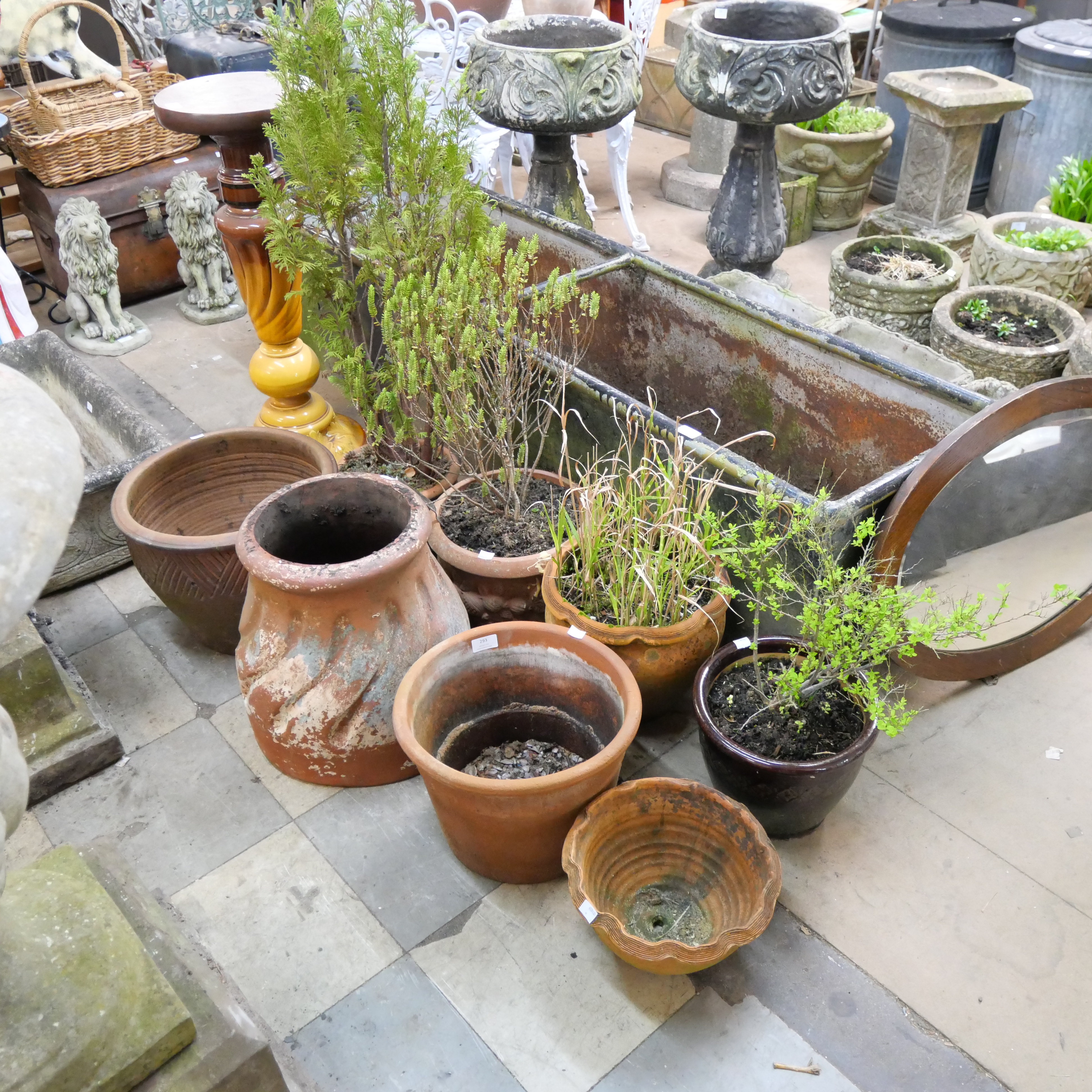 Assorted garden planters