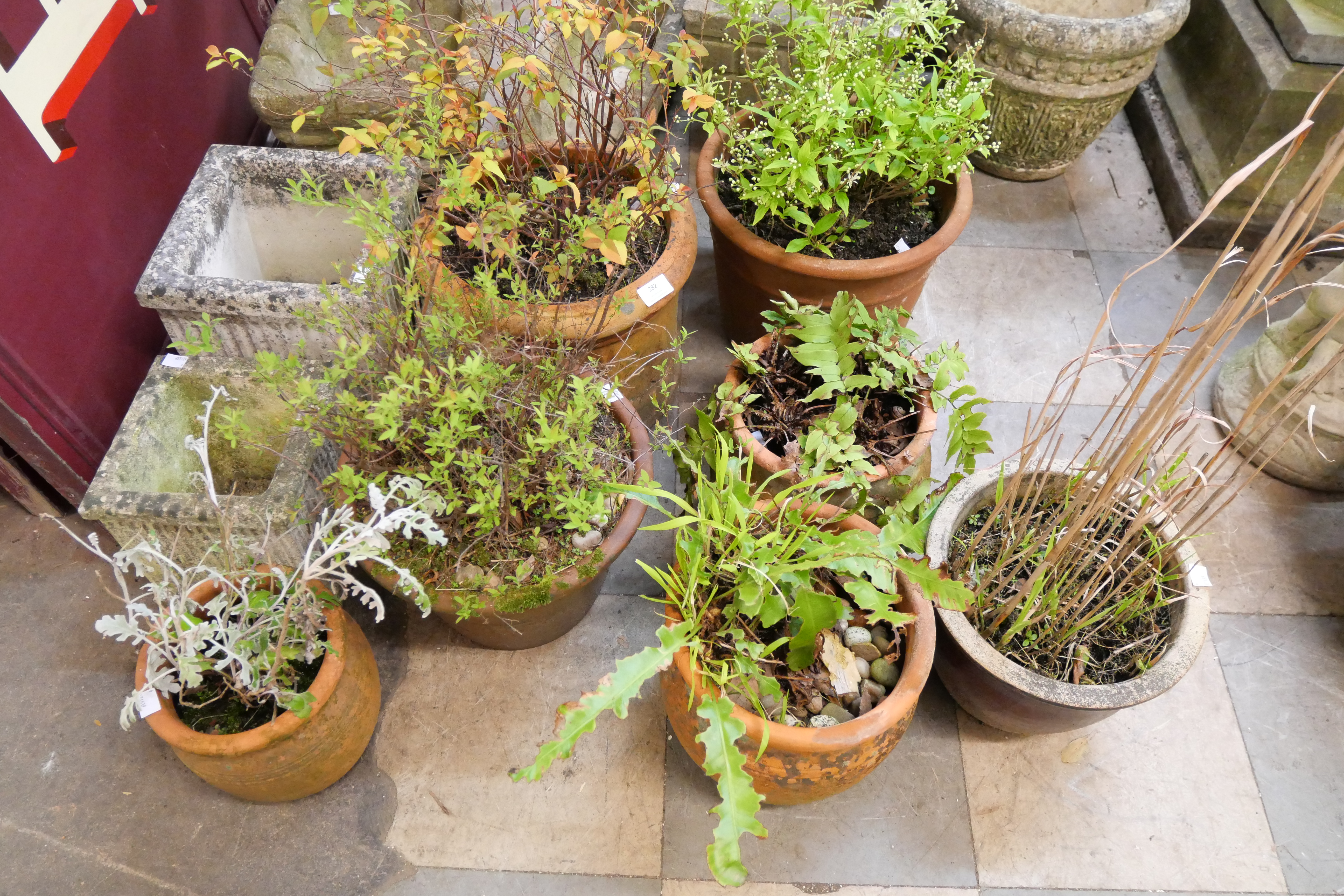 Assorted garden planters