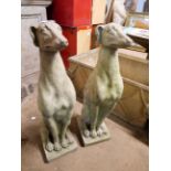 A pair of concrete garden figures of seated greyhounds