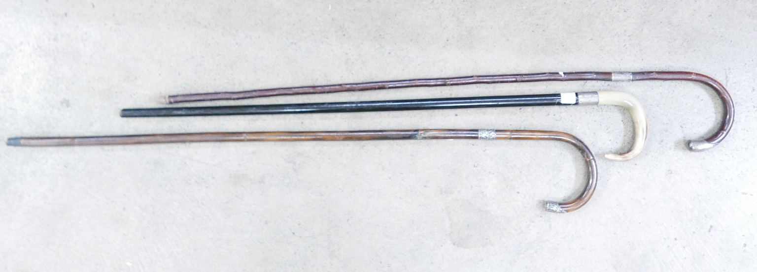 Three walking sticks, bamboo, hawthorn and ebonised, all with silver collars and two with