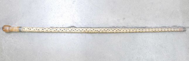 A shark's vertebrae walking stick