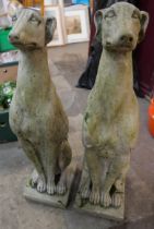 A pair of concrete figures of seated greyhounds