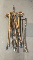 A collection of walking sticks and canes