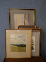 A collection of assorted watercolours, all framed