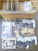A collection of vintage postcards including continental, animals, churches, castles, etc., and a