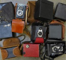 A collection of box cameras including Brownie and Coronet plus a Lubitel 2 TLR