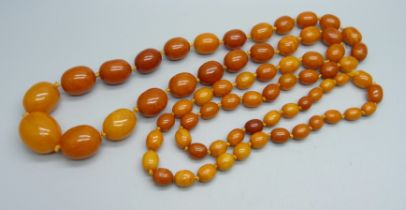 A set of butterscotch amber beads, 62.5g, (largest bead a/f)