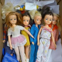 Six vintage Pedigree Sindy dolls plus clothes and accessories