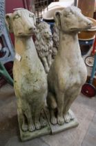 A pair of concrete garden figures of seated greyhounds