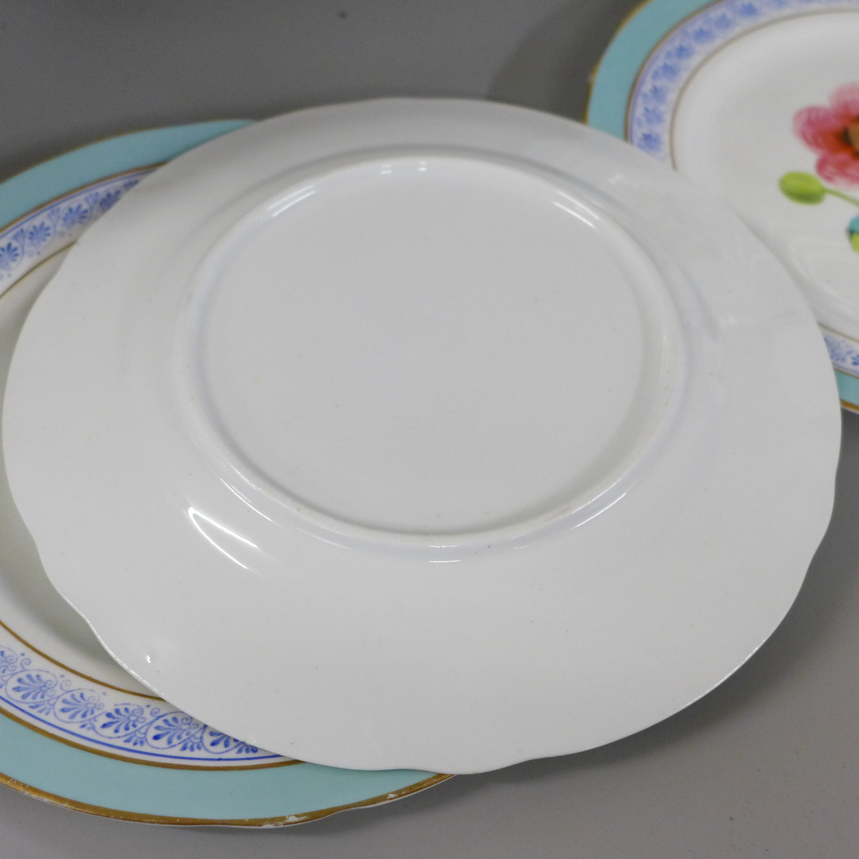 A set of four cabinet plates with duck egg blue border and hand painted floral decoration and two - Image 4 of 4