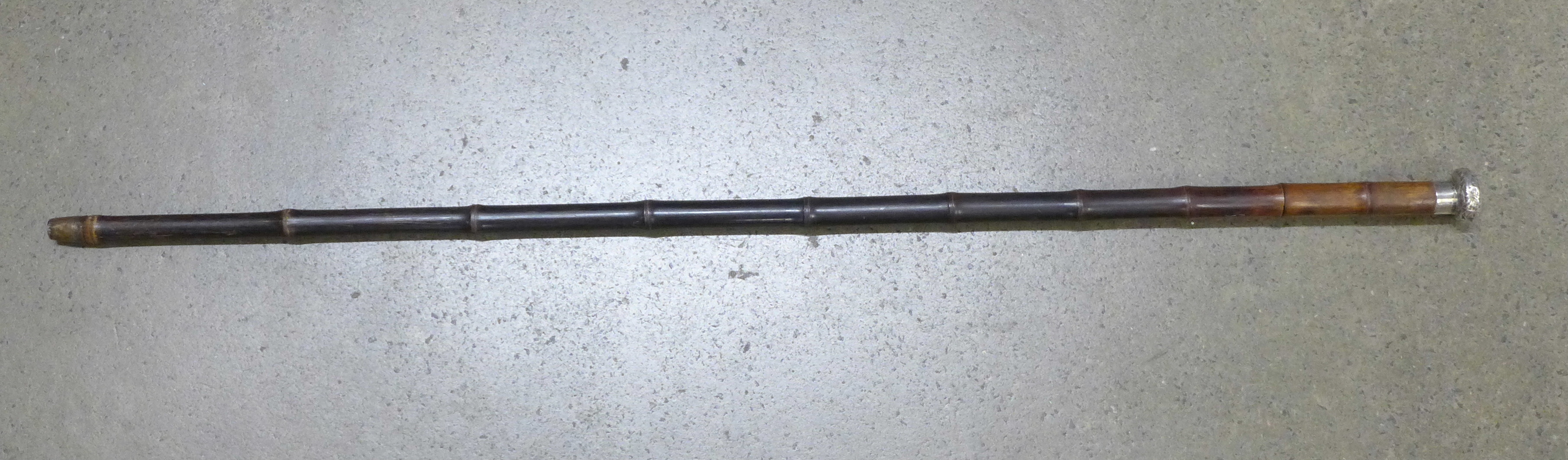 A circa 1900 bamboo sword stick with white metal top