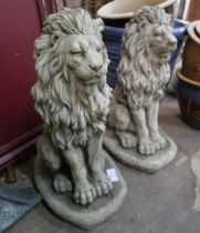 A pair of concrete garden figures of seated lions