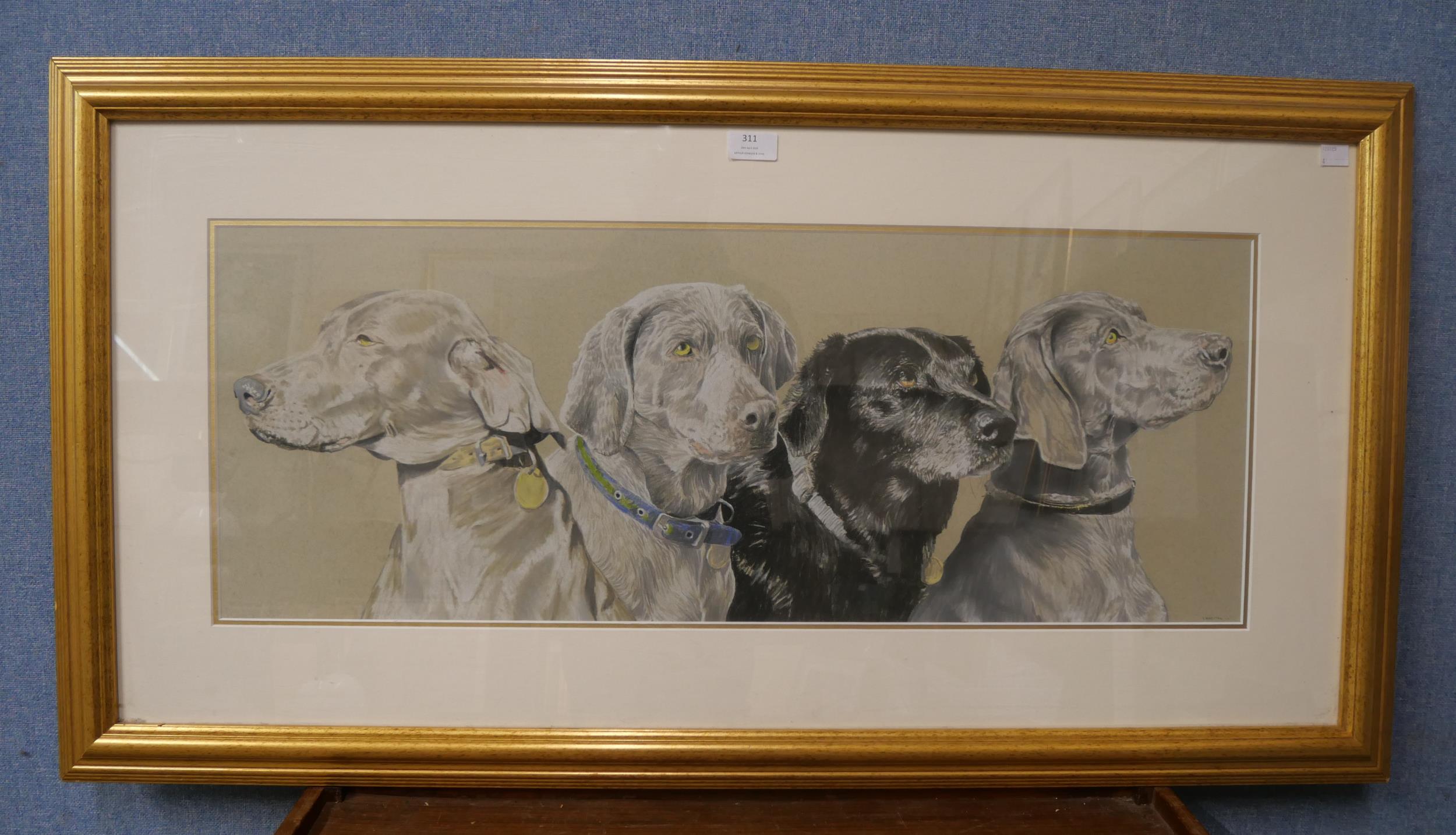 * Chapman, study of three Weimaraner dogs and a Labrador, pastel, framed