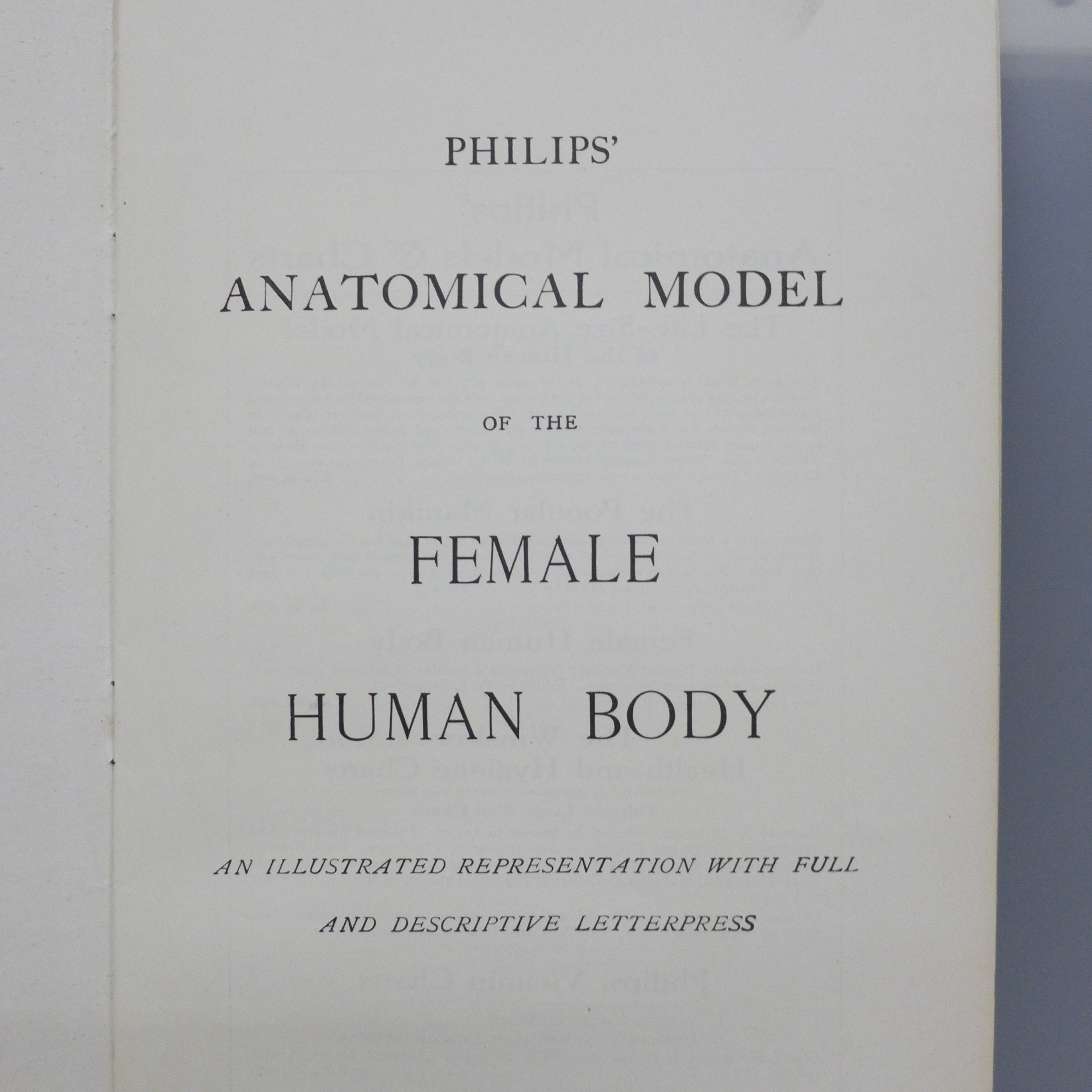 A Philips' Model of the Human Body (female) illustrated and edited by W.S. Furneaux - Image 2 of 8