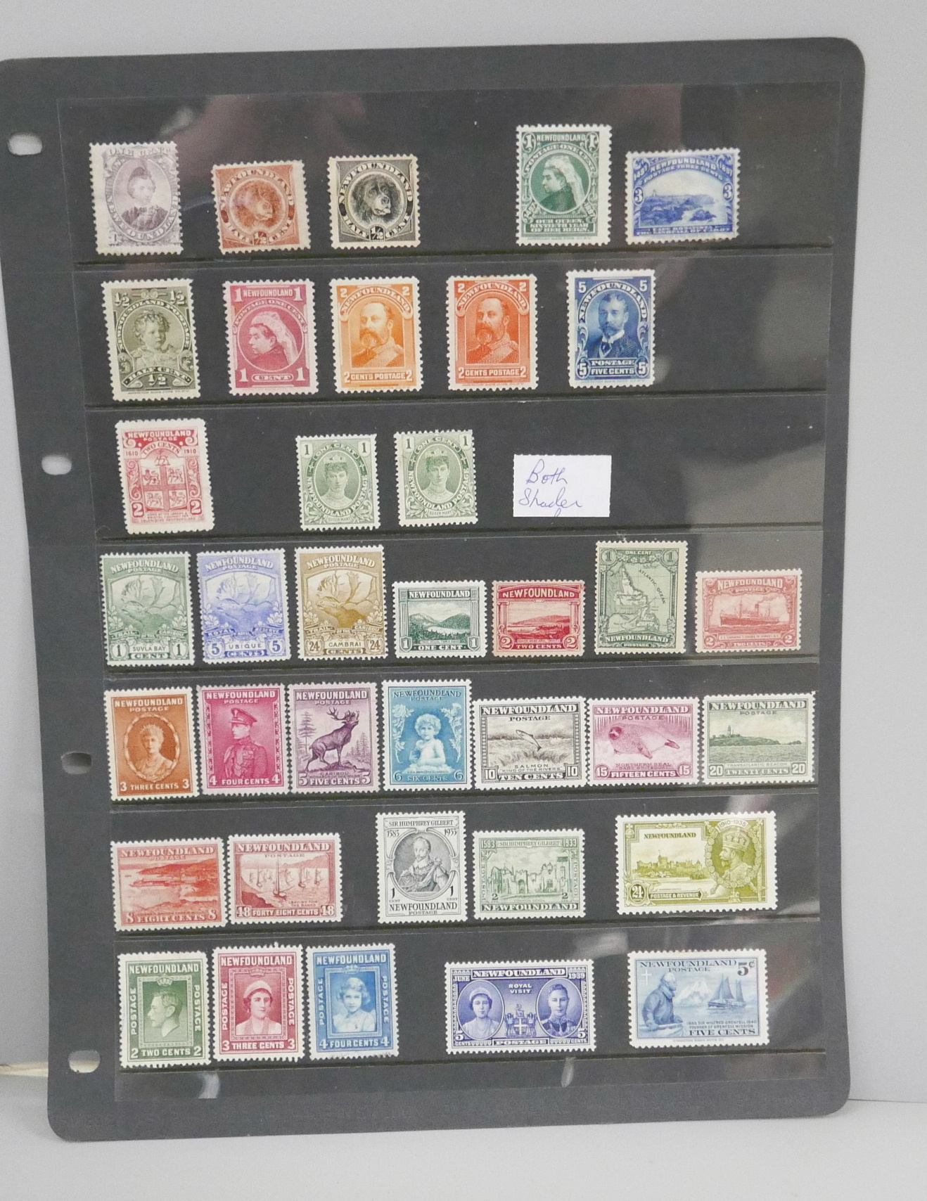 Stamps; a stocksheet of mint Newfoundland stamps