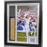 A Joe Root signed display with miniature cricket bat, framed