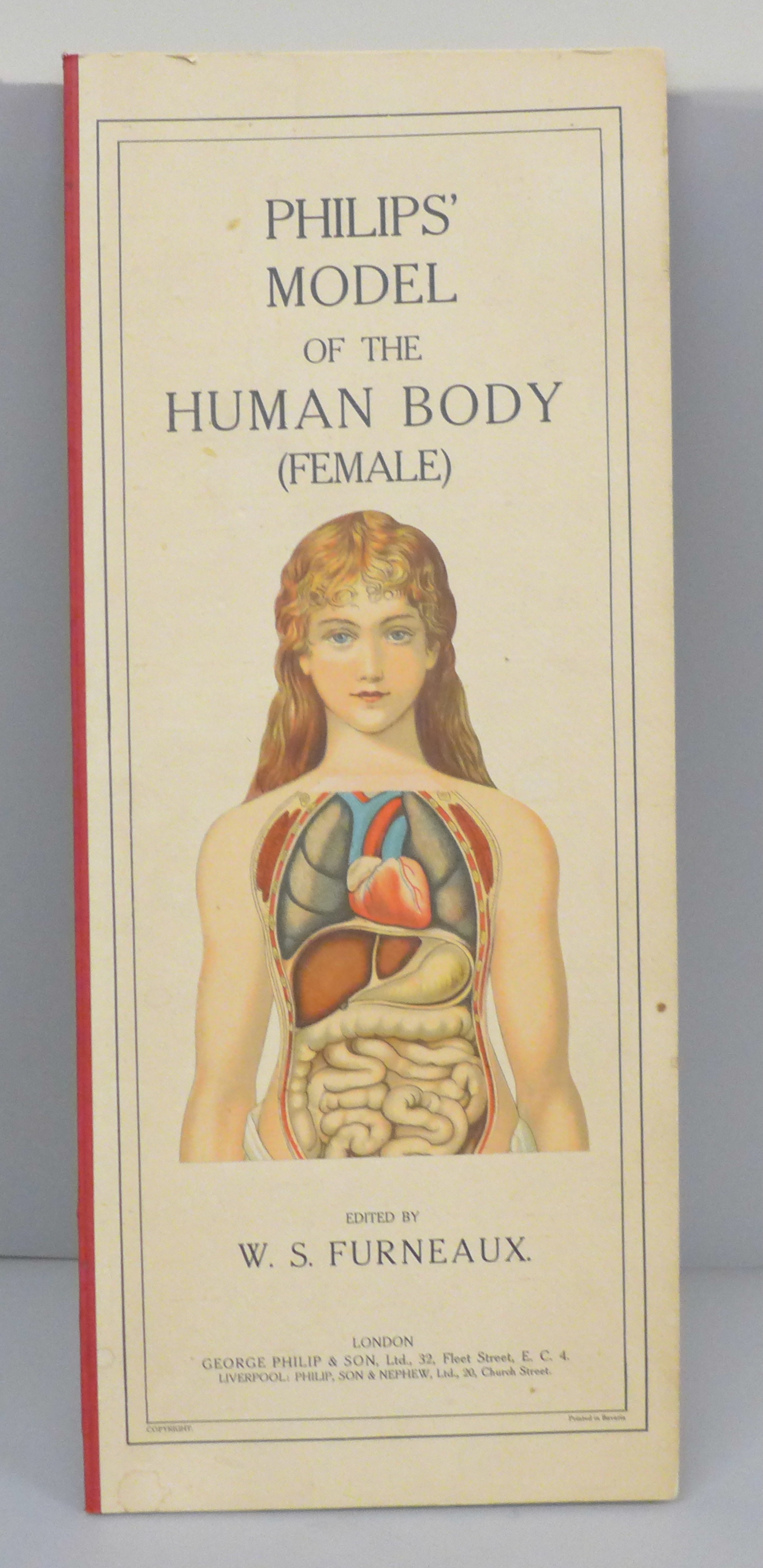 A Philips' Model of the Human Body (female) illustrated and edited by W.S. Furneaux