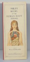A Philips' Model of the Human Body (female) illustrated and edited by W.S. Furneaux