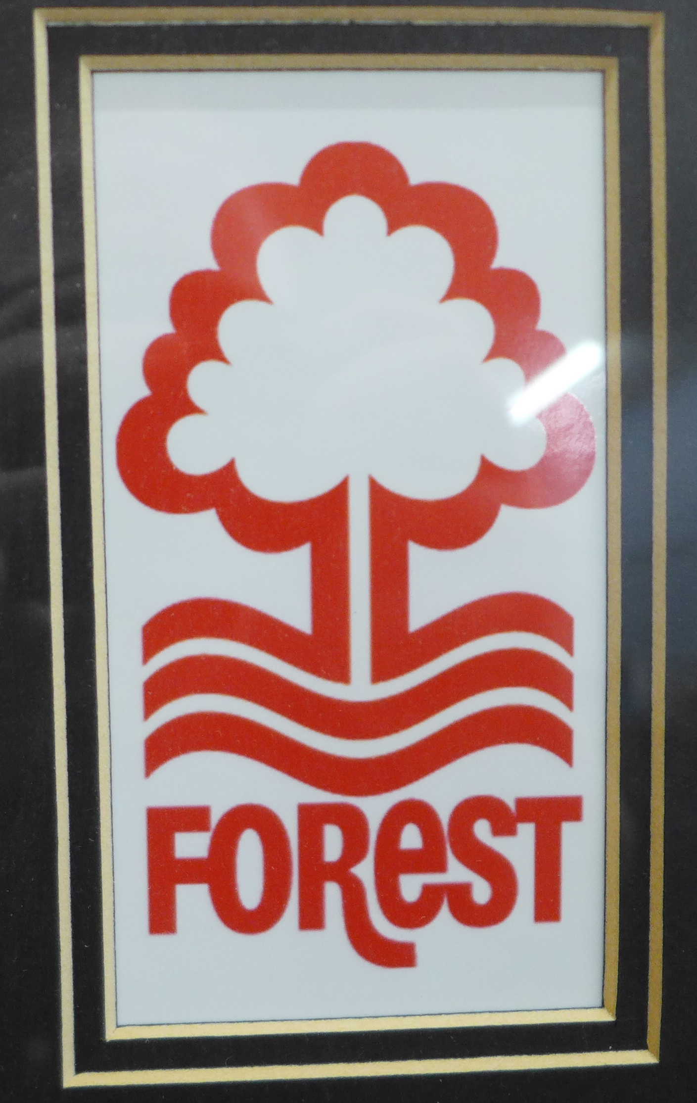 Nottingham Forest, framed and mounted picture of the starting eleven from the 1979 European Cup - Image 10 of 11