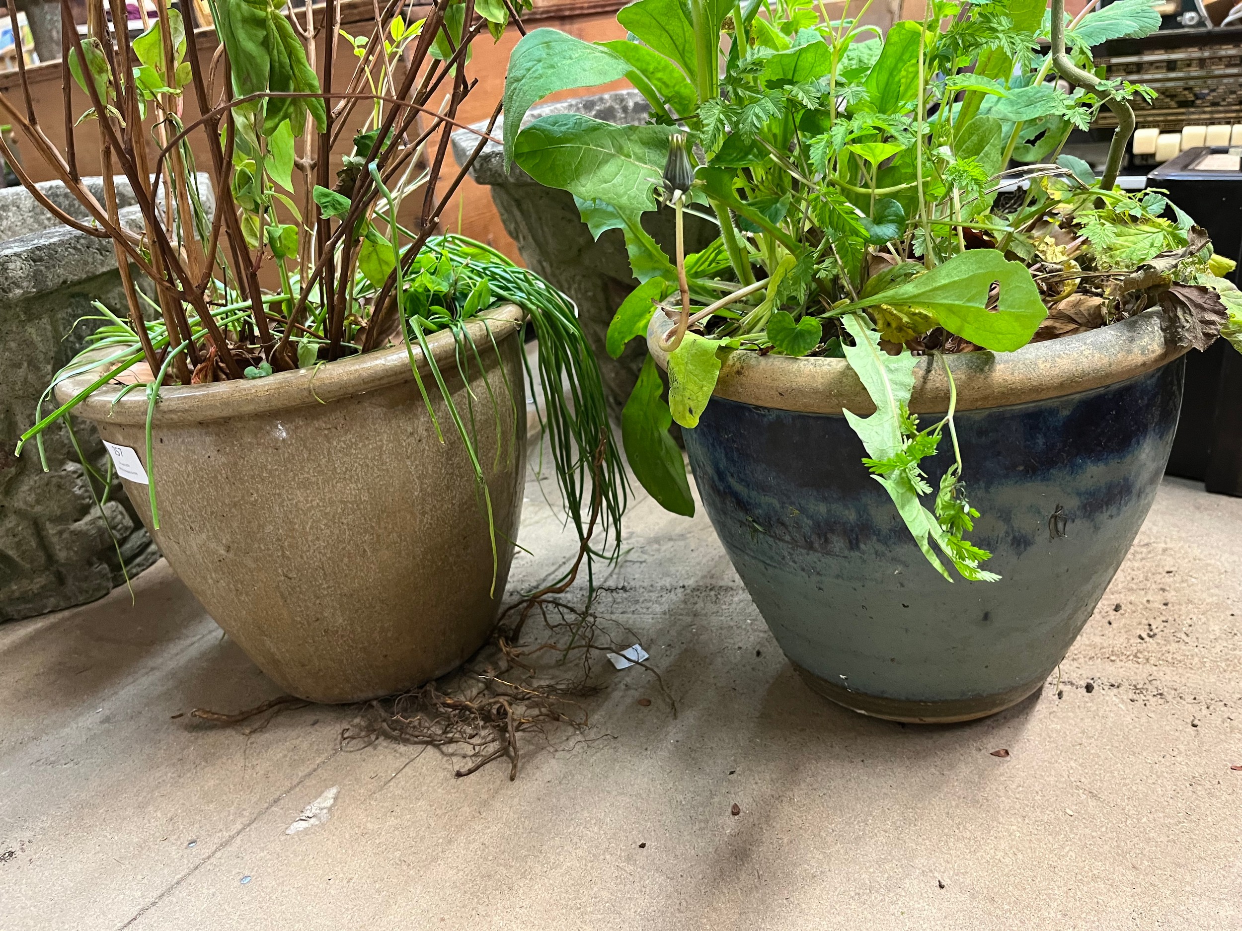 A pair of glazed garden plant pots
