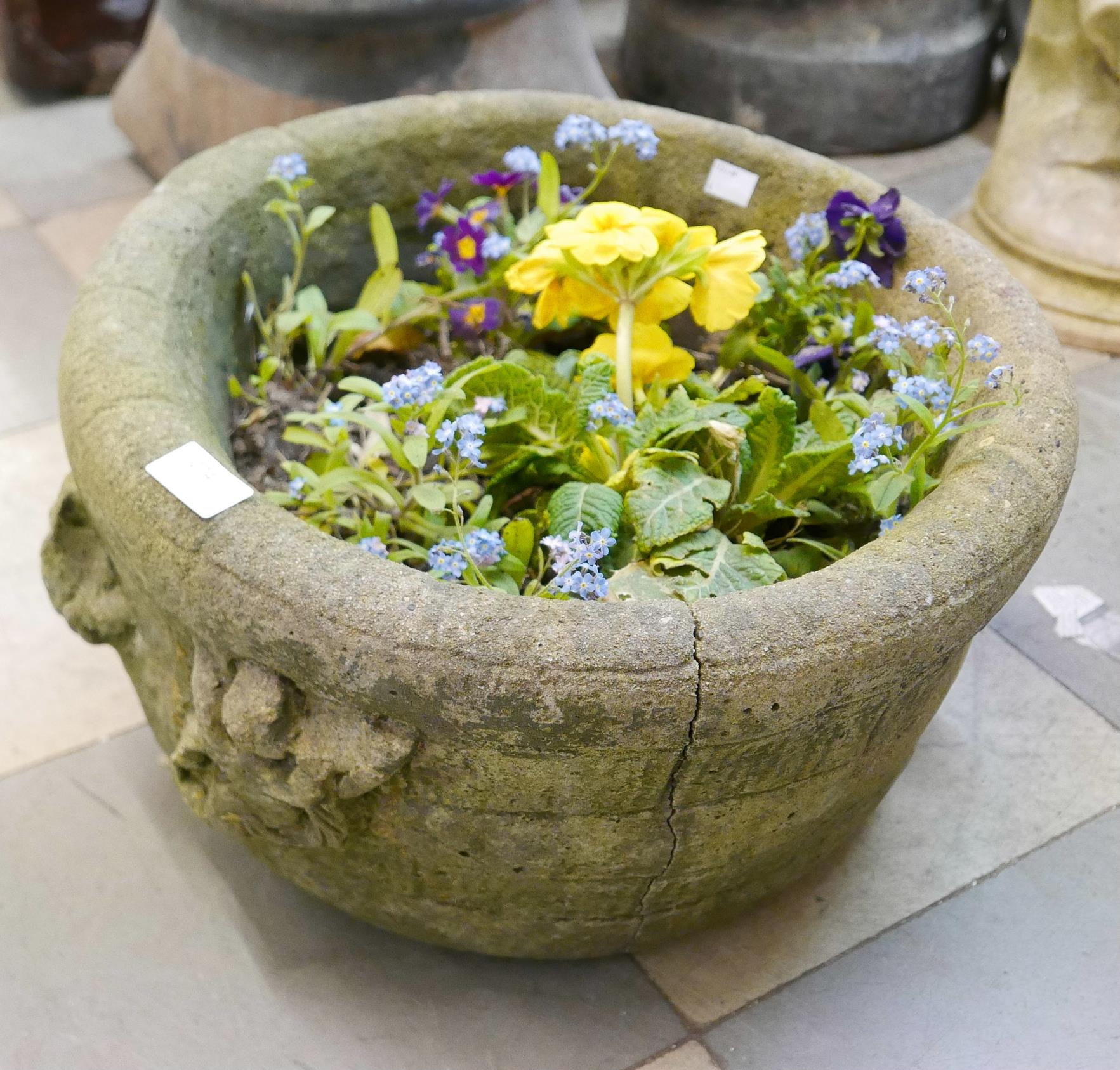 A circular concrete garden planter