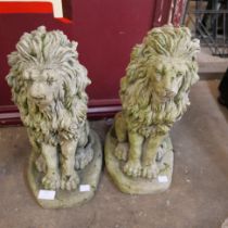 A pair of upright lions
