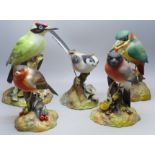 A collection of five Royal Crown Derby porcelain models of birds