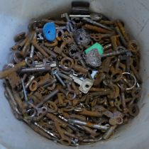 A large collection of cabinet and door keys in rusty