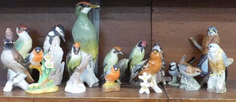 Fifteen models of birds including Mack Merlin and Kestrel, Rosenthal, Goebel chaffinch, etc.