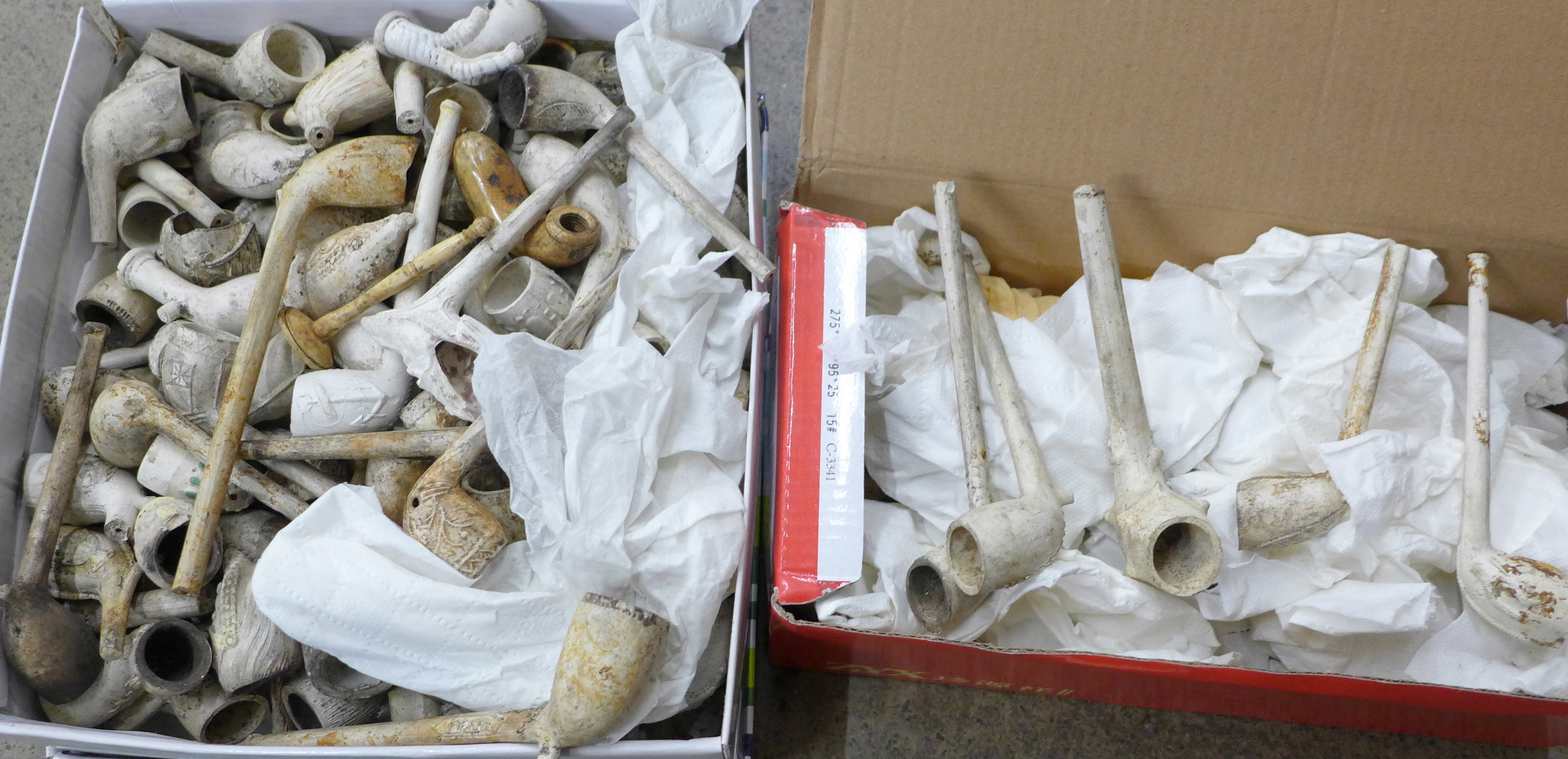A large collection of old clay pipes