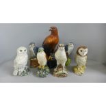 A collection of seven Royal Doulton Whyte & Mackay bird of prey decanters including Golden Eagle,