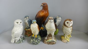 A collection of seven Royal Doulton Whyte & Mackay bird of prey decanters including Golden Eagle,