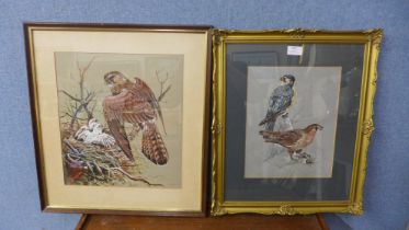 * Jarvis, two studies of birds, watercolour, framed