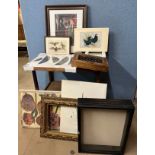 Assorted prints, frames and display cases