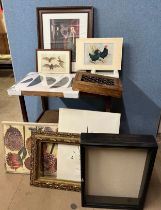 Assorted prints, frames and display cases