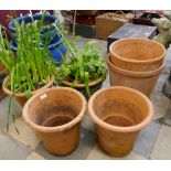 Six terracotta plant pots