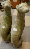 A pair of concrete garden figures of seated greyhounds