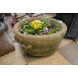 A circular concrete garden planter