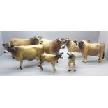 Two Beswick Jersey cow families comprising Ch. Newton Tinkle x3, Ch. Dunsley Coy Boy x2 and two