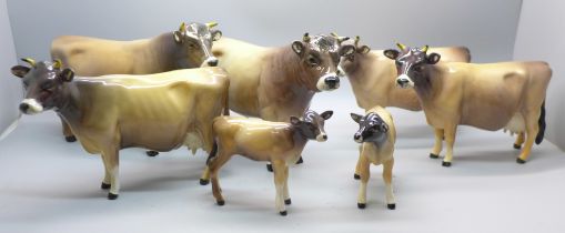 Two Beswick Jersey cow families comprising Ch. Newton Tinkle x3, Ch. Dunsley Coy Boy x2 and two