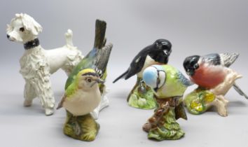 Four Beswick Pottery birds; bullfinch, stonechat, goldcrest and blue tit, a Goebel bird and a studio