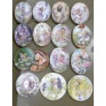 Flower Fairy collectors plates; two Villeroy & Boch, two Wedgwood, one Border and ten Royal