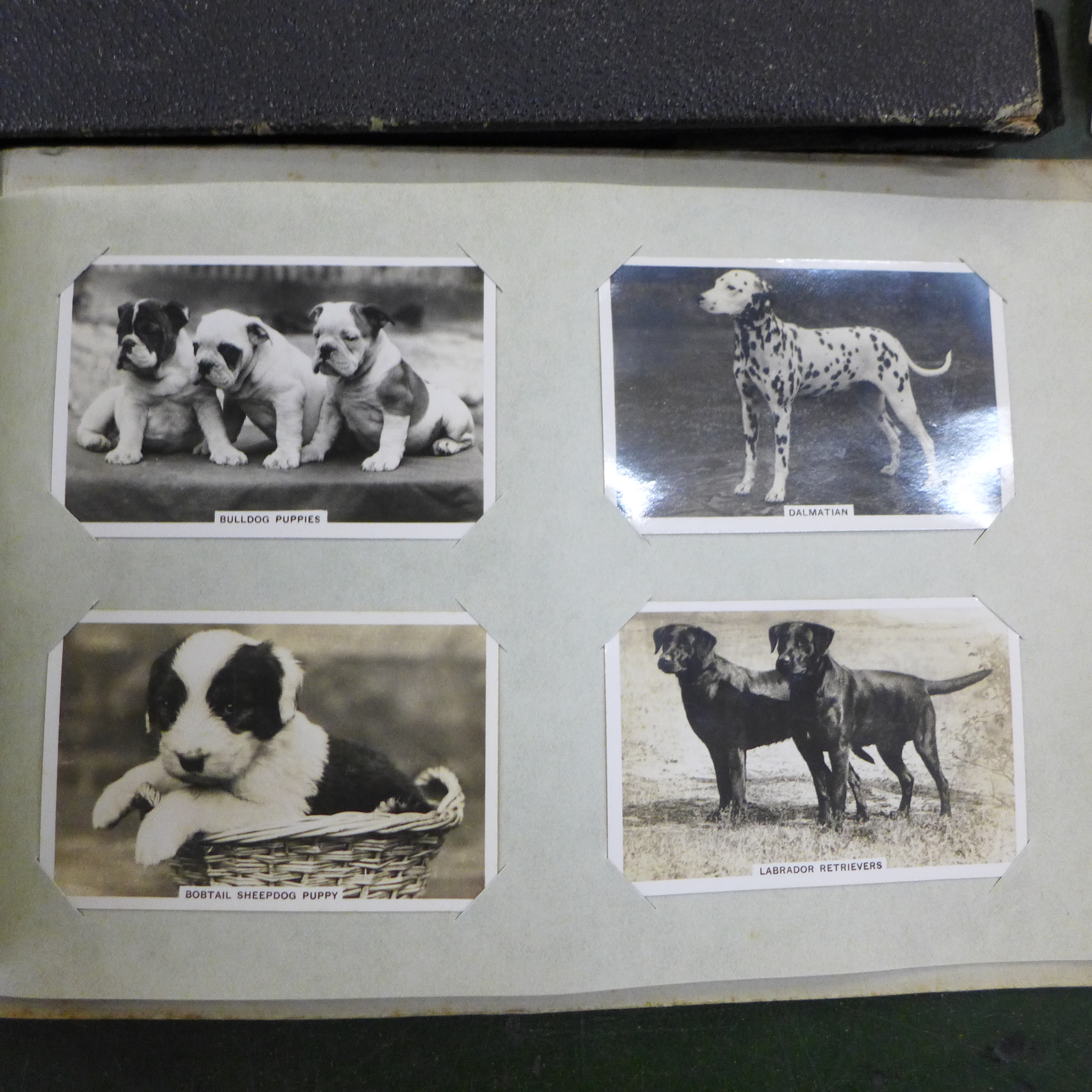 A box of mixed postcards, two albums of cigarette cards and photographs, framed prints of soldiers - Image 8 of 12