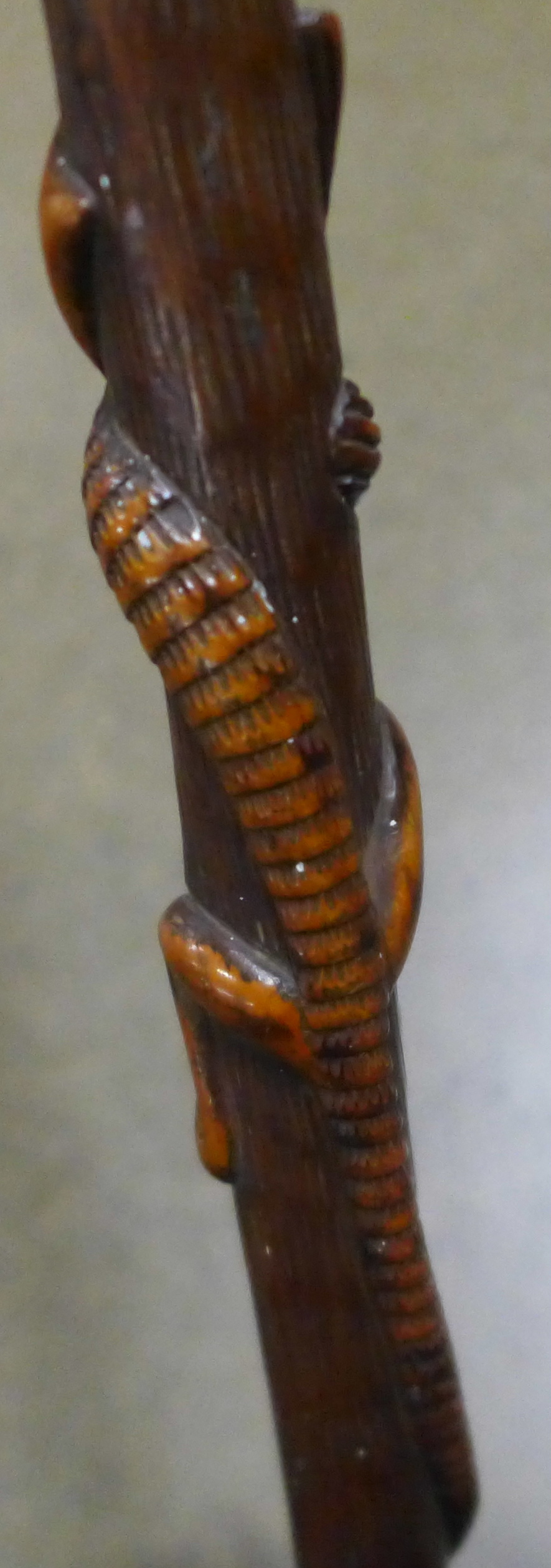 A carved wooden walking stick, tropical hardwood, decorated with snakes, lizards, birds and mythical - Image 5 of 6
