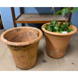 Two terracotta garden plant pots