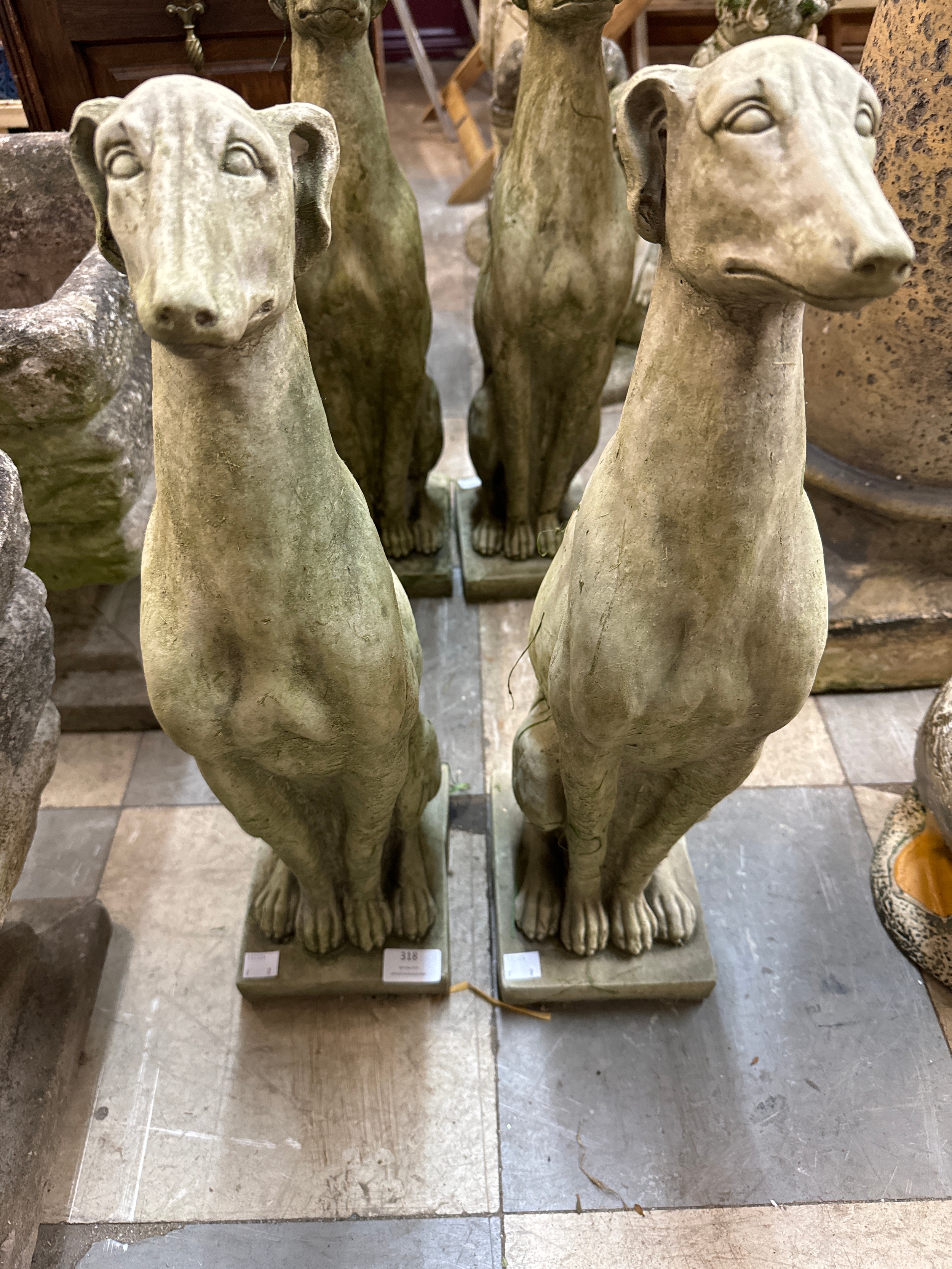 A pair of concrete garden figures of seated greyhounds