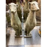 A pair of concrete garden figures of seated greyhounds