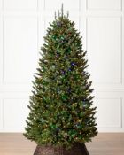 A Balsam Hill Fraser Fir Narrow Artificial Christmas Tree. Item May Be Incomplete, Viewing is advise